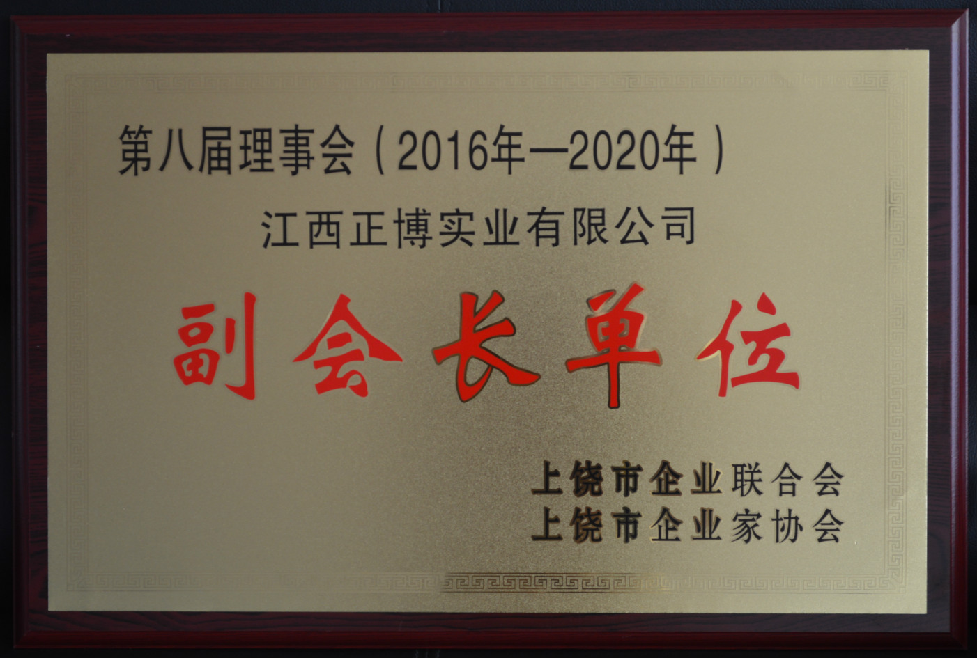 2016年-2020年 副会长单位