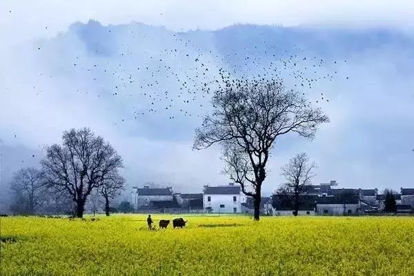 我与改革开放四十周年—从“浙商”到“赣商”