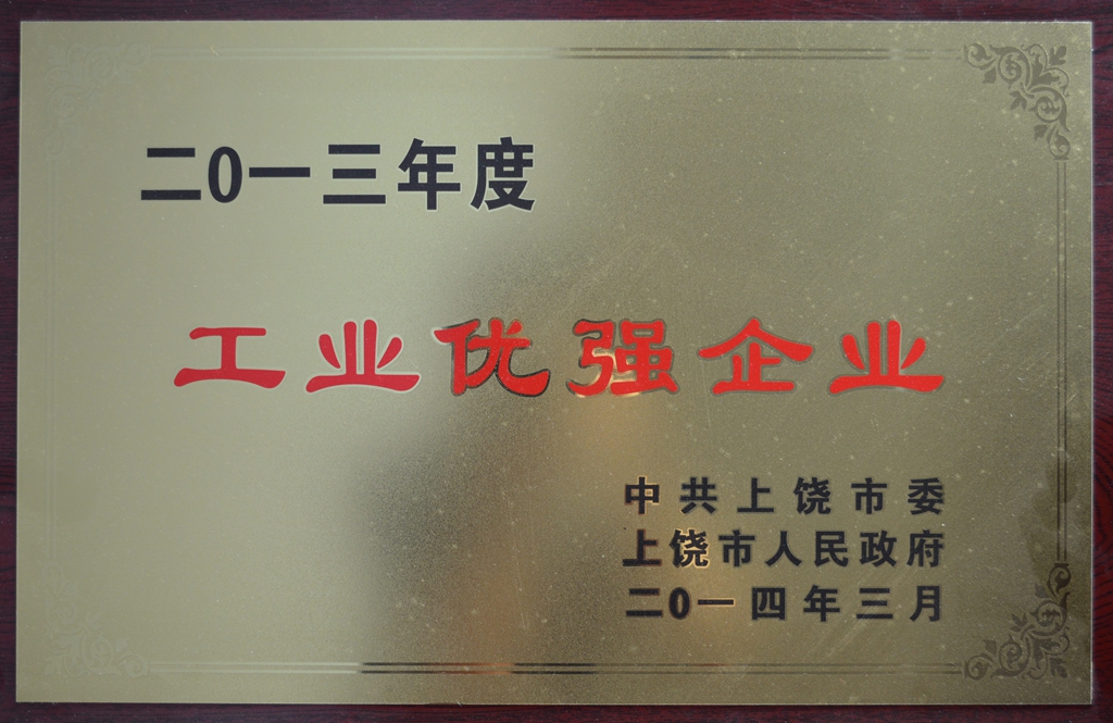2013年度 工业优强企业